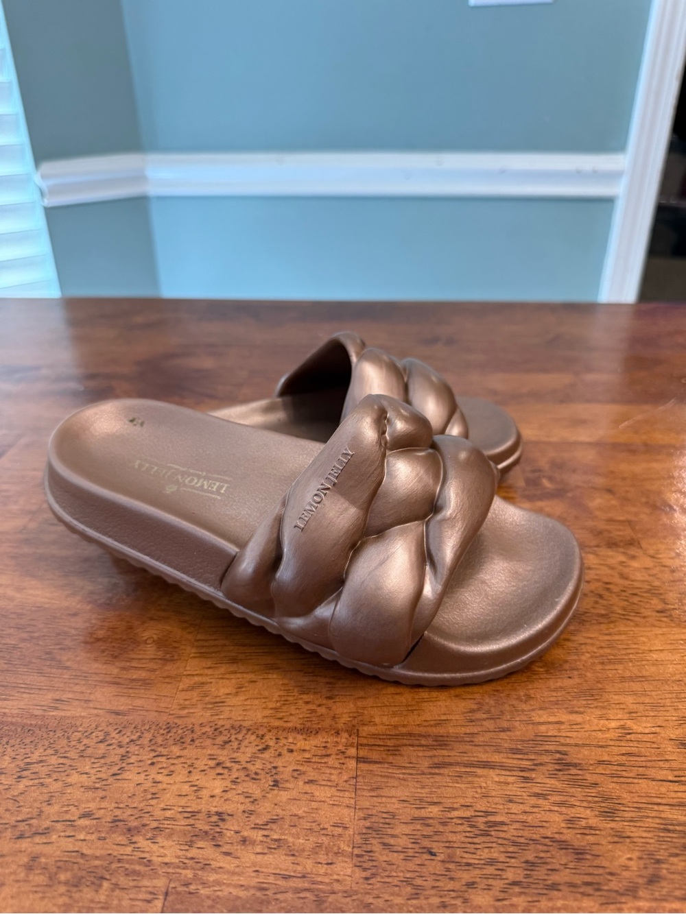 Lemon Jelly Cocoon Braided Slide Sandals Bronze Metal Size 38